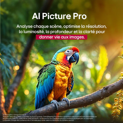 LG TV QNED Evo AI 2025 | 55QNED85A | 55'' (139 cm) | MiniLED 120Hz | Processeur α8 AI 4K Gen2 |Dolby Vision | Alexa